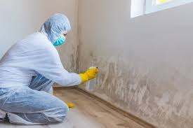 Best Residential Mold Inspection & Testing  in Islamorada Village Of Islands, FL